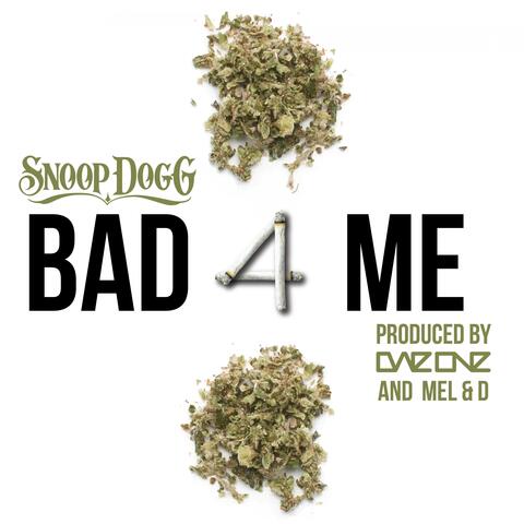 Bad 4 Me (feat. Snoop Dogg) [Instrumental]