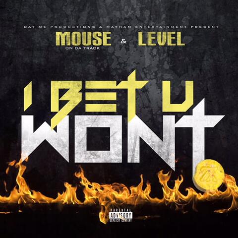 Mouse & Level