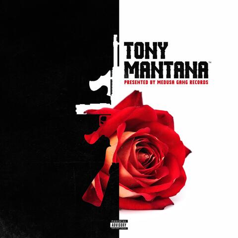 Tony Mantana