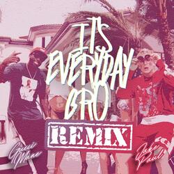 It's Everyday Bro (Remix)