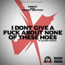 I Don't Give a Fuck About None of These Hoes