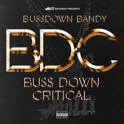 Bussdown Critical BDC