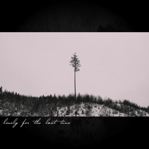 Lonely for the Last Time