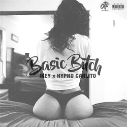 Basic Bitch
