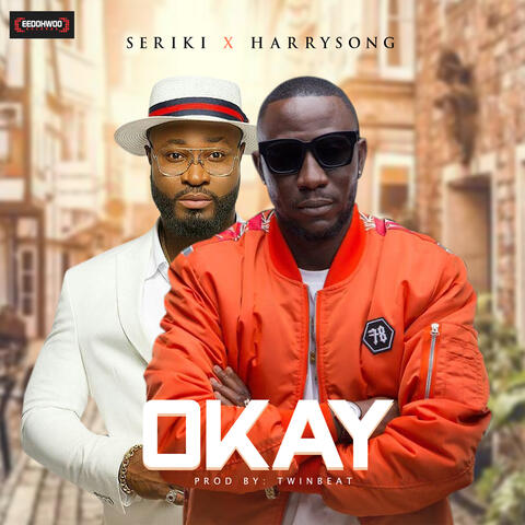 Okay (feat. Harrysong)