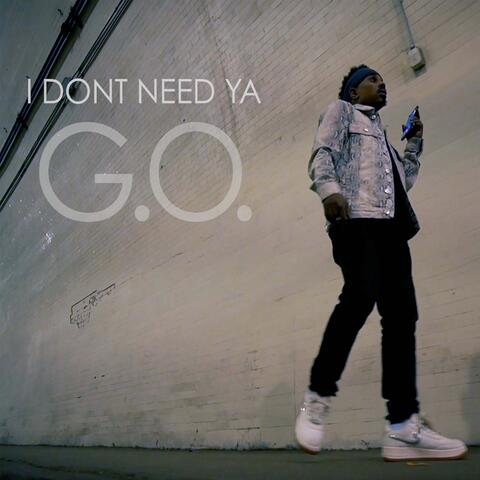 I Dont Need Ya