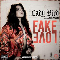 Fake Love