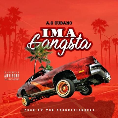 Im A Gangsta