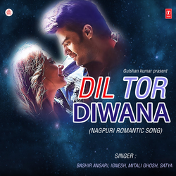 Dil Diwana Tor