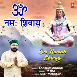 Om Namah Shivay