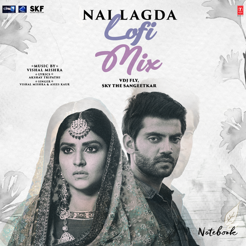 Nai Lagda Lofi Mix
