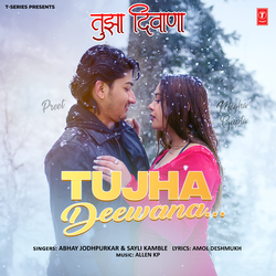 Tujha Deewana