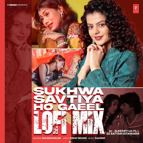 Sukhwa Savtiya Ho Gaeel Lofi Mix