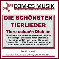 Kauf dir lieber einen Hund