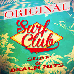 Bustin' Surfboards