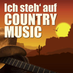 Rock 'n' Roll Meets Country