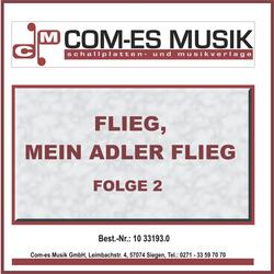 Die Musikanten aus dem Zillertal