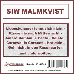 Schwarzer Kater Stanislaus