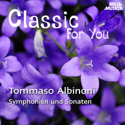 Sonate No. 3 für Streichorchester in C Major, Op. 2: III. Allegro