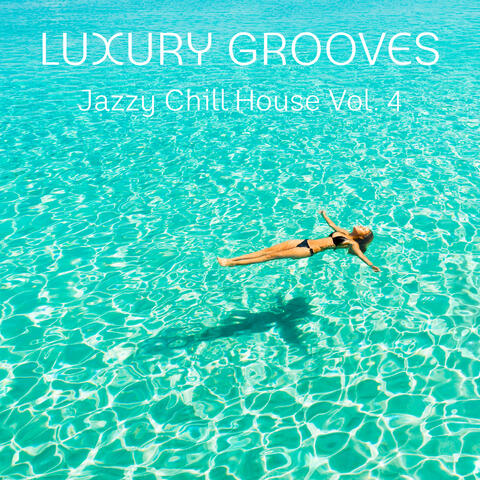 Jazzy Chill House, Vol. 4
