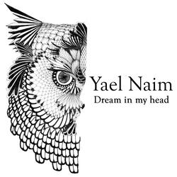 Dream in My Head