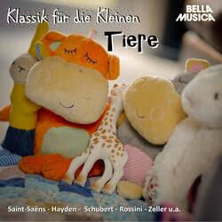 Das Märchen vom Zaren Saltan: Hummelflug