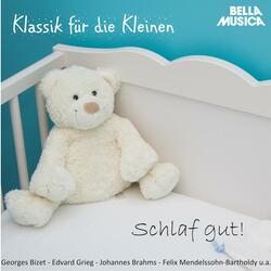 Suite No. 3 für Orchester in D Major, BWV 1068: II. Air