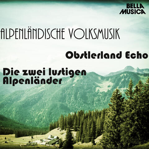 Alpenländische Volksmusik, Vol. 10