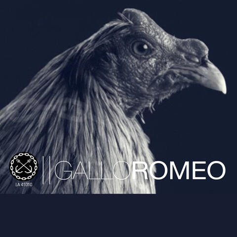 Gallo Romeo