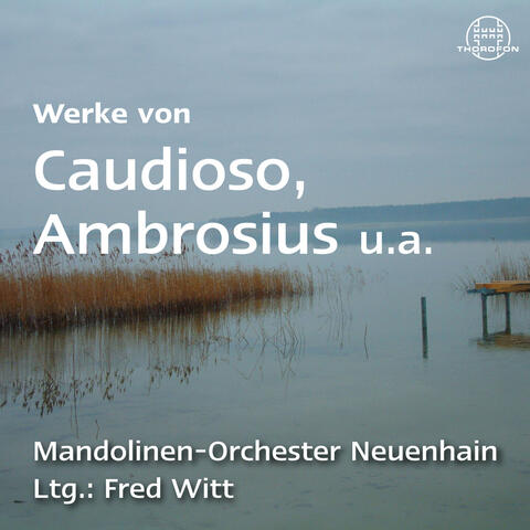 Mandolinen-Orchester Neuenhain