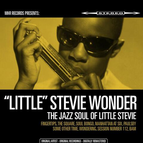 The Jazz Soul of Little Stevie