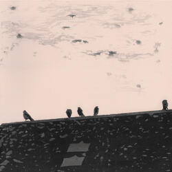 Step into the Grey
