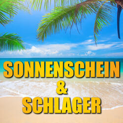 Cheerio Medley (Schenk mir diese eine Nacht / Du bist wieder da / Ich brauch ein bisschen Glück / Diese Nacht / Das kann nur Liebe sein / Cheerio)