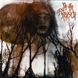 Don't Try to See Through Me