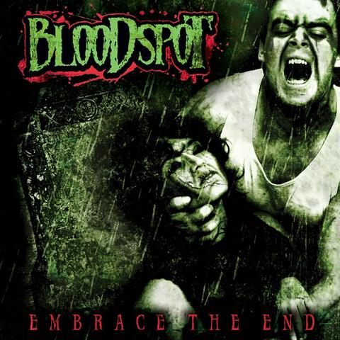 Embrace The End