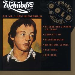 A Gulasch und a Seidl Bier