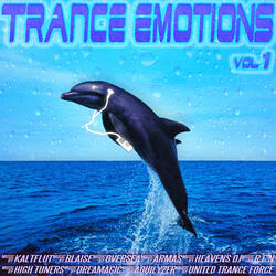 TearS 4 StringS (Cream UK RMX)