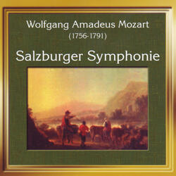 Streichquartett No. 2 für 2 Violinen, Viola und Violoncello in B-Flat Major, K. Anh. 210: I. Allegro molto