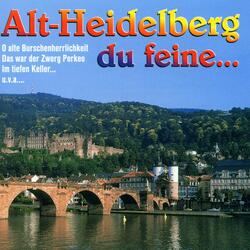 O Heidelberg, O Heidelberg