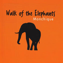 Walk Of The Elephants