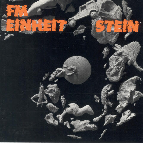 Stein