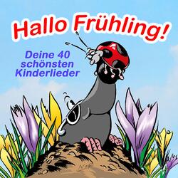 Lied vom Specht
