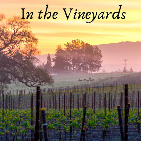 In the Vineyards