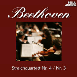 Streichquartett No. 3 in C Major, Op. 59: IV. Allegro molto