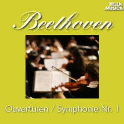 Sinfonie No. 1 für Orchester in C Major, Op. 21: I. Adagio molto - Allegro con brio
