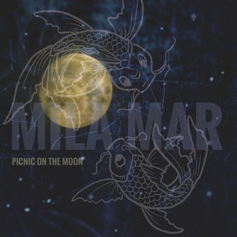 Picnic on the Moon