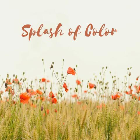 Splash of Color