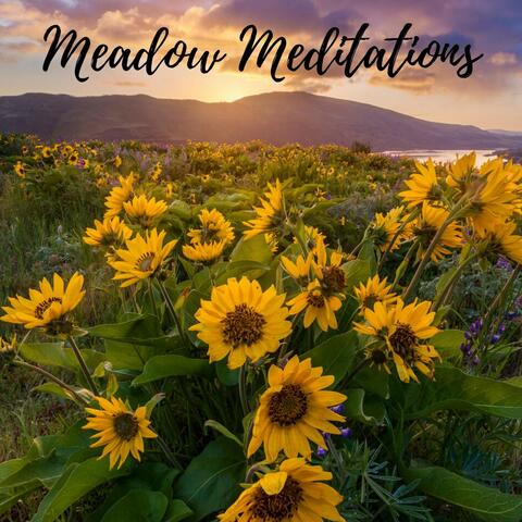 Meadow Meditations