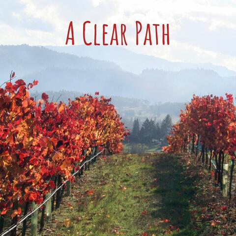A Clear Path