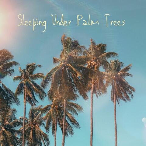 Sleeping Under Palm Trees
